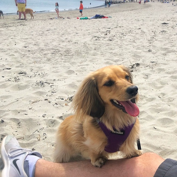 Meet your Posher, Jennie - Picture 7 of 10